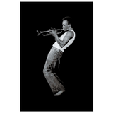 -Matte-12 x 18″ (30 x 45cm)-None-