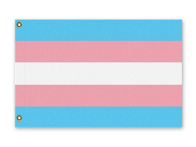 Transgender Pride Flag, LGBTQ LGBTQIA LGBTQX Trans Rights Equality-High quality, professionally printed polyester Pride banner pole flag in your choice of size and style - single or double sided with either grommets or pole pocket. 2x1 / 1x2 ft, 3x2 / 2x3 ft, 3x5 / 5x3 ft or custom size by request. Transgender LGBT LGBTQ LGBTQIA LGBTQX Trans Rights Equality Protest. Resist United.-3 ft x 2 ft-Standard-Grommets-