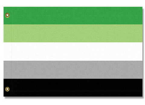 Aromantic Pride Flag, Aro LGBTQ LGBTQIA LGBTQX Pole Banner Flag-High quality, professionally printed polyester flag in your choice of size and style, single or fully double-sided with blackout layer, grommets or pole pocket / sleeve. 2x1ft / 1x2ft, 3x2ft / 2x3ft, 5x3ft / 3x5ft, custom. Fully customizable. Aro Aromantic LGBTQ LGBTQIA LGBTQX Pride Equality Nonromantic Flag Banner-3 ft x 2 ft-Standard-Grommets-