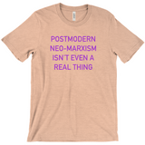 -Jordan Peterson is a fraud and a pseudo-intellectual con-man. These shirts are made-to-order and typically ship in 3-5 business days from the USA. Additional sizes and styles, custom colors, etc. available by request. unisex style philosophy hipster trendy college fashion t-shirt anti-fascist canadian usa american-Heather Peach-Small (S)-