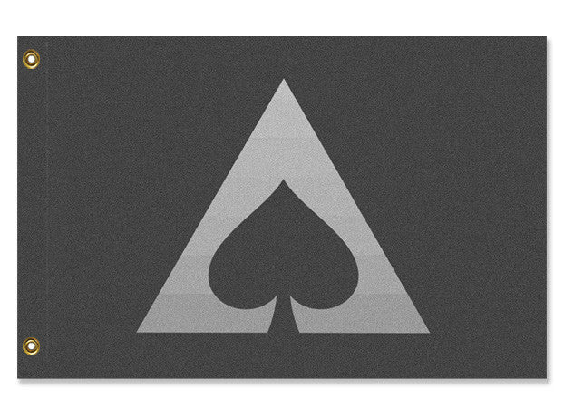 -High quality, professionally printed polyester flag in your choice of size and style, single or fully double-sided with blackout layer, grommets or pole pocket / sleeve. 2x1ft / 1x2ft, 3x2ft / 2x3ft, 5x3ft / 3x5ft, custom. Fully customizable. Ace Asexual LGBTQ LGBTQIA LGBTQX Pride Flag Alternate Custom Rights Equality-