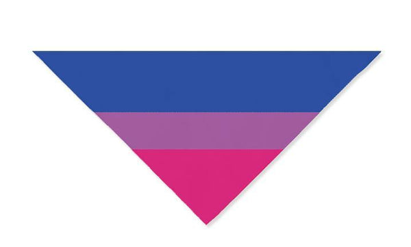 Birate Ship - Bisexual Pride Tote Bag