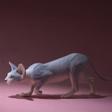 -Nicely detailed 1:6 scale sphynx cat figurine. These miniatures are crafted in high quality resin and measure roughly 5.5x16.5x3.2cm / 2.2x6.5x1.26in. New in box, guaranteed quality. Free shipping. Cute funny wrinkly wrinkled hairless cat kitten kitty statuette sculpture mini statue collectible animal gift-B-