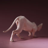 -Nicely detailed 1:6 scale sphynx cat figurine. These miniatures are crafted in high quality resin and measure roughly 5.5x16.5x3.2cm / 2.2x6.5x1.26in. New in box, guaranteed quality. Free shipping. Cute funny wrinkly wrinkled hairless cat kitten kitty statuette sculpture mini statue collectible animal gift-