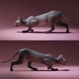 -Nicely detailed 1:6 scale sphynx cat figurine. These miniatures are crafted in high quality resin and measure roughly 5.5x16.5x3.2cm / 2.2x6.5x1.26in. New in box, guaranteed quality. Free shipping. Cute funny wrinkly wrinkled hairless cat kitten kitty statuette sculpture mini statue collectible animal gift-