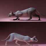 -Nicely detailed 1:6 scale sphynx cat figurine. These miniatures are crafted in high quality resin and measure roughly 5.5x16.5x3.2cm / 2.2x6.5x1.26in. New in box, guaranteed quality. Free shipping. Cute funny wrinkly wrinkled hairless cat kitten kitty statuette sculpture mini statue collectible animal gift-