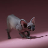 -Nicely detailed 1:6 scale sphynx cat figurine. These miniatures are crafted in high quality resin and measure roughly 5.5x16.5x3.2cm / 2.2x6.5x1.26in. New in box, guaranteed quality. Free shipping. Cute funny wrinkly wrinkled hairless cat kitten kitty statuette sculpture mini statue collectible animal gift-