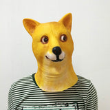 -High quality natural latex over-the-head shiba inu dog mask. One size fits most teens and adults. Free shipping. Halloween costume cosplay funny doge memes golden shiba inu dog overhead rubber latex mask internet trendy kid friendly youth spoopy animal pup -