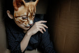 -Masquerade/Carnival style sculpted half-face mask printed with realistic cat face. One size fits most, measures approximately 18x18cm/7.09x7.09in and 6cm/2.36in deep. Free shipping from abroad. Typically delivers to the USA in 2-3 weeks. - Gato carnivale halloween costume cosplay kitty-