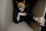 -Masquerade/Carnival style sculpted half-face mask printed with realistic cat face. One size fits most, measures approximately 18x18cm/7.09x7.09in and 6cm/2.36in deep. Free shipping from abroad. Typically delivers to the USA in 2-3 weeks. - Gato carnivale halloween costume cosplay kitty-