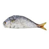 Realistic 3D Fish Pouch Coin Purse Makeup Bag Case, Weird Funny Creepy-6-