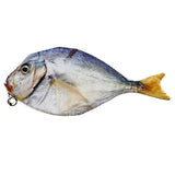 Realistic 3D Fish Pouch Coin Purse Makeup Bag Case, Weird Funny Creepy-5-