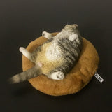 -Nicely detailed 1:6 scale lethargic fat cat figurine with plush mini cat bed. Cat is crafted in high quality resin and measures approximately 13x6.5x3cm / 5.3x2.6x1.2in. New in box, guaranteed quality. Free shipping. Funny sweet realistic collectible 1/6 orange black white brown gray tabby kitty figure gift miniature-