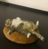 -Nicely detailed 1:6 scale lethargic fat cat figurine with plush mini cat bed. Cat is crafted in high quality resin and measures approximately 13x6.5x3cm / 5.3x2.6x1.2in. New in box, guaranteed quality. Free shipping. Funny sweet realistic collectible 1/6 orange black white brown gray tabby kitty figure gift miniature-