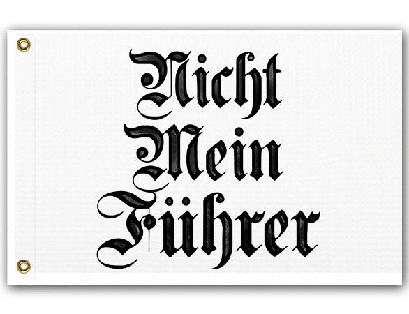 Nicht Mein Fuhrer Anti-Fascist Protest Flag-Nicht Mein Fuhrer Anti-Fascist Protest Flag, 2x3/3x5/1x2 Resist United American Pro-Democracy Anti-Trump/Musk Anti-Authoritarian Banner Unity Rights Equality-2 ft x 1 ft-Standard-Grommets-