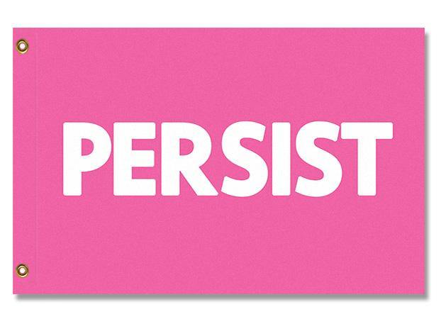 PERSIST FLAG, Custom Color & Sizes - Rights & Equality Protest Banner-High quality, professionally printed polyester flag. Single or fully double-sided, grommets or pole pocket / sleeve. 2x1ft / 1x2ft, 3x2ft / 2x3ft, 5x3ft / 3x5ft, custom. Fully customizable. Rights Equity Equality Womens LGBTQ LGBTQX LGBTQIA Anti-Fascist Antifa Progressive Pole Flag USA America RESIST Fascism United-3 ft x 2 ft-Pink-Standard - Grommets-796752936208