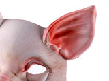 -High quality EVA pig masquerade style half-face mask with elastic band. One size fits most. Free shipping from abroad. Typically arrives in 2-3 weeks to the USA. Funny creepy weird costume cosplay technoblade gamer carnival pigs piggy piggies oink oink detailed plastic halloween fancy dress hog animal farm gag-