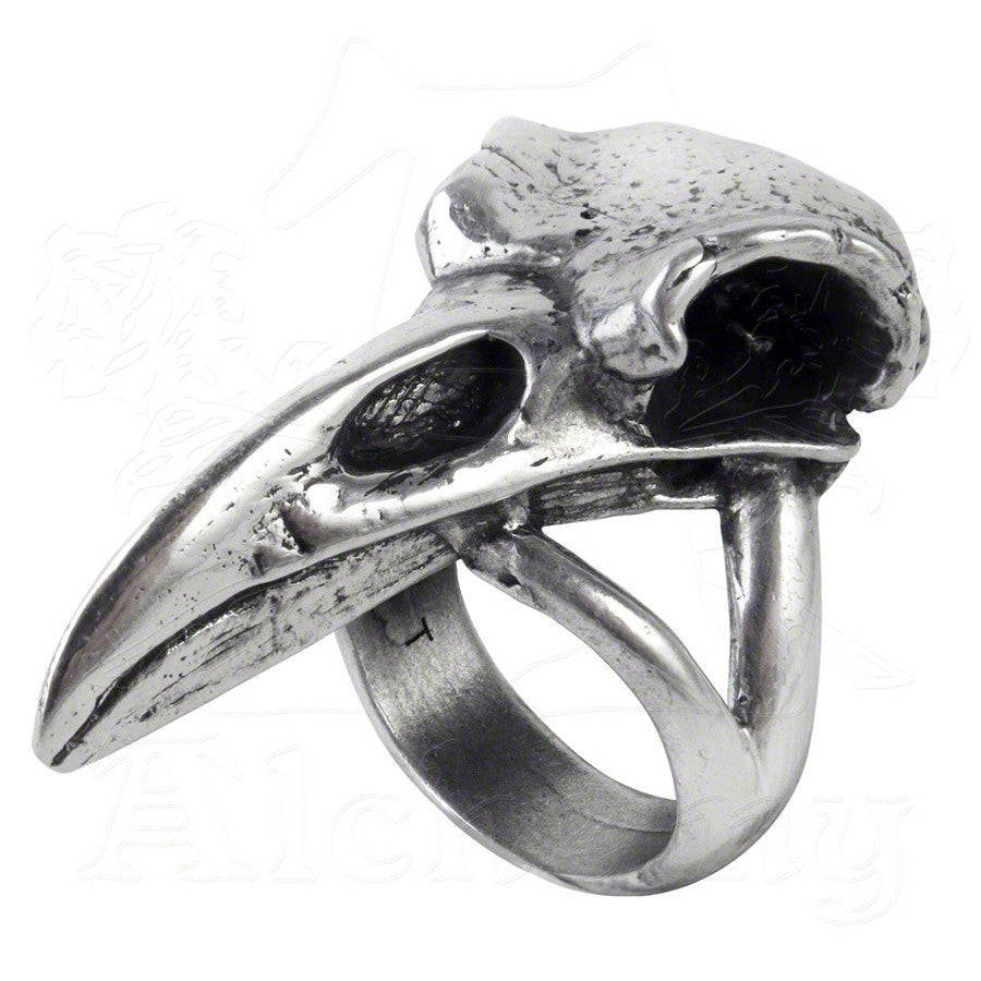 -Size Q / 8.5 US-664427041574