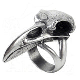 -Size Q / 8.5 US-664427041574