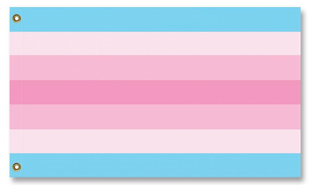 Transfeminine Pride Flag, Custom LGBTQIA Trans-Feminine Transgender-Transfeminine Pride Flag. High quality indoor / outdoor pole flag, professionally made in the USA in your choice of size & style. Single or double sided, grommets or pole sleeve / pocket. Fully customizable. – Trans Feminine, Transgender LGBTQIA LGBTQ LGBT GLBT Intersex Nonbinary Rights Equlity Protest March Festival-5 ft x 3 ft-Standard-Grommets-