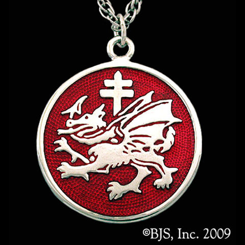 -Sterling Silver-Ruby-24" Stainless Steel Rope Chain-