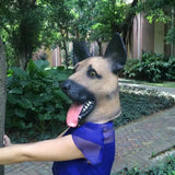 -Funny latex over-the-head German Shepherd dog mask. One size fits most. Free shipping from abroad with average delivery to the USA in 2-3 weeks. Halloween cute kawaii costume cosplay dog mask-