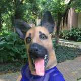 -Funny latex over-the-head German Shepherd dog mask. One size fits most. Free shipping from abroad with average delivery to the USA in 2-3 weeks. Halloween cute kawaii costume cosplay dog mask-