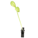 -Unique tiny synthetic bean sprout hair clips. Clips measure about 4cm and sprouts stand about 6cm tall.Free shipping from abroad. These typically arrive in 2-4 weeks to the USA. Tiny anime cosplay costume accessory kawaii cute weird unusual flora plant leaf seedling synthetic fake simulation-