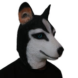 -Funny latex over-the-head Husky puppy mask. One size fits most. Free shipping from abroad with average delivery to the USA in 2-3 weeks. Halloween cute kawaii costume cosplay dog mask-