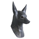 -Quality latex over-the-head Anubis style jackal mask. One size fits most. Free shipping from abroad with average delivery to the US of 2-3 weeks. halloween costume cosplay egypt egyptian deity anubis jackal headed god wolf classic pyramid gamer gaming roleplaying larp judgement afterlife-