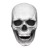 Realistic Moving Jaw Skull Mask - Full Head, Soft or Hard Latex, USA-Full head, realistic skeleton mask with mechanism which allows your mouth to move the jaw. Available in both bone white and antiqued, hard or soft latex. Ideal for any skeletal cosplay or Halloween costume.One size fits most. Ships from the USA. Horror movable advanced deluxe goth gothic creepy spooky prank grim reaper-