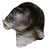 -Unique, high quality latex over-the-head fish face mask. One size fits most. Free shipping from abroad with average delivery to USA in about 2-3 weeks. Funny weird bizarre strange weirdest wtf fishhead halloween costume cosplay mask trout alien fancy dress-