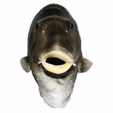 -Unique, high quality latex over-the-head fish face mask. One size fits most. Free shipping from abroad with average delivery to USA in about 2-3 weeks. Funny weird bizarre strange weirdest wtf fishhead halloween costume cosplay mask trout alien fancy dress-
