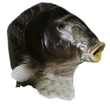 -Unique, high quality latex over-the-head fish face mask. One size fits most. Free shipping from abroad with average delivery to USA in about 2-3 weeks. Funny weird bizarre strange weirdest wtf fishhead halloween costume cosplay mask trout alien fancy dress-