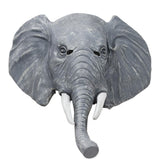-Elephant grey-Abroad-