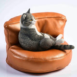 -Nicely detailed 1:6 scale fat cat figurine with faux leather sofa display stand. Cat is crafted in high quality resin and measures approximately 7.5 cm / 2.9 inches tall. New in box, guaranteed quality. Free shipping. Funny sweet realistic collectible 1/6 orange black white brown gray tabby kitty figure gift -