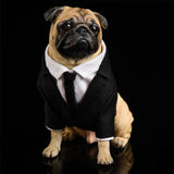 Funny Business Pug Figurine with Removable Sunglasses-