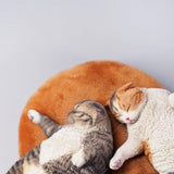 -Nicely detailed 1:6 scale lethargic fat cat figurine with plush mini cat bed. Cat is crafted in high quality resin and measures approximately 13x6.5x3cm / 5.3x2.6x1.2in. New in box, guaranteed quality. Free shipping. Funny sweet realistic collectible 1/6 orange black white brown gray tabby kitty figure gift miniature-