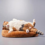 -Nicely detailed 1:6 scale lethargic fat cat figurine with plush mini cat bed. Cat is crafted in high quality resin and measures approximately 13x6.5x3cm / 5.3x2.6x1.2in. New in box, guaranteed quality. Free shipping. Funny sweet realistic collectible 1/6 orange black white brown gray tabby kitty figure gift miniature-Calico-