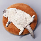 -Nicely detailed 1:6 scale lethargic fat cat figurine with plush mini cat bed. Cat is crafted in high quality resin and measures approximately 13x6.5x3cm / 5.3x2.6x1.2in. New in box, guaranteed quality. Free shipping. Funny sweet realistic collectible 1/6 orange black white brown gray tabby kitty figure gift miniature-Gray and White-