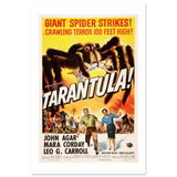 -Matte-24 x 36″ (60 x 90cm)-Black-