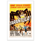 -Matte-18 x 24″ (45 x 60cm)-White-