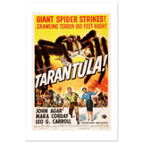 -Matte-24 x 36″ (60 x 90cm)-White-