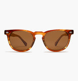 -Honey Tortoise / Brown Lens-