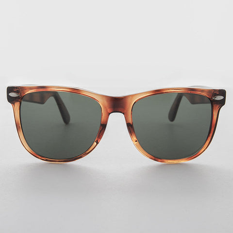 -Tortoise-