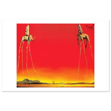 -Matte-8 x 12″ (21 x 29.7cm)-None-