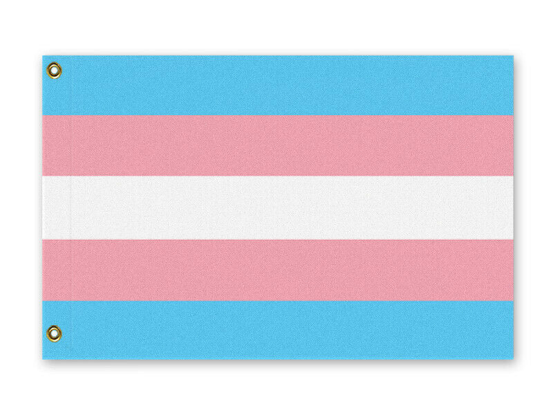 Transgender Pride Flag, LGBTQ LGBTQIA LGBTQX Trans Rights Equality-High quality, professionally printed polyester Pride banner pole flag in your choice of size and style - single or double sided with either grommets or pole pocket. 2x1 / 1x2 ft, 3x2 / 2x3 ft, 3x5 / 5x3 ft or custom size by request. Transgender LGBT LGBTQ LGBTQIA LGBTQX Trans Rights Equality Protest. Resist United.-3 ft x 2 ft-Standard-Grommets-