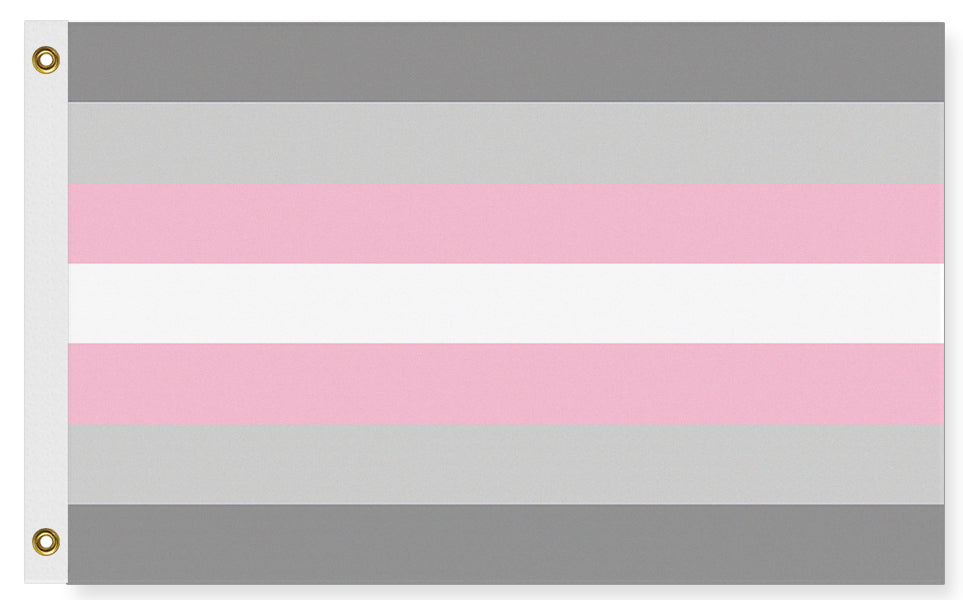 Demigirl Pride Flag - Demigender LGBTQIA/LGBTQX Gender Identity Pride-High quality, professionally made polyester Pride banner pole flag in choice of size with double stitched seams, single or double sided with either grommets or pole pocket. 2x1/1x2ft, 3x2/2x3ft, 3x5/5x3ft, custom by request. LGBTQ LGBTQIA queer rights equality Agender Nonbinary. Genderqueer Demi Girl Resist United-5 ft x 3 ft-Standard-Grommets-