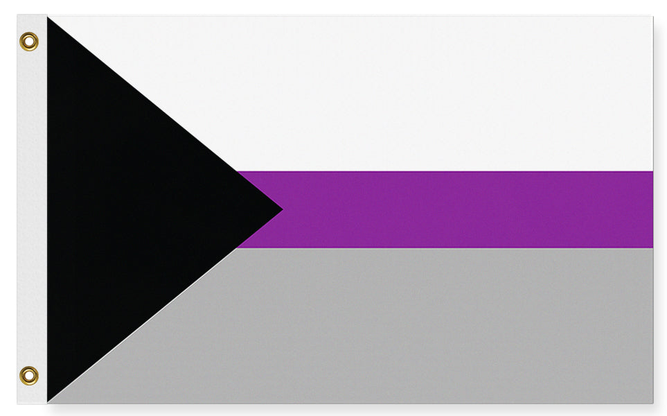 -High quality, professionally made polyester Pride banner flag in choice of size with double stitched seams, single or double sided with grommets or pole pocket. 2x1/1x2ft, 3x2/2x3ft, 3x5/5x3ft. Customizable by request. Demisexual Demi Sexuality LGBT LGBTQ LGBTQIA LGBTQX identity right equality protest. Resist United-5 ft x 3 ft-Standard-Grommets-