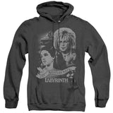 -Adult Small-Pullover Hoodie-Black Heather-